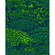 Vlies Fototapete - Feathers - Größe 200 X 250 Cm